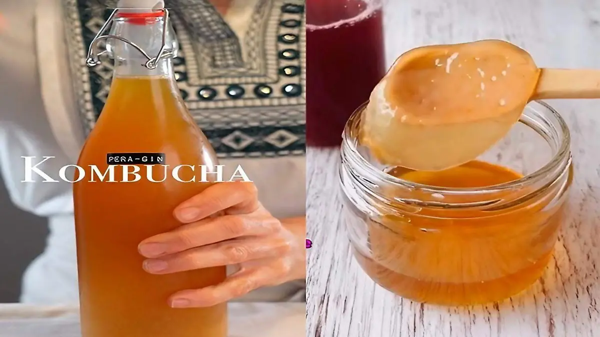 Kombucha bebida (1)